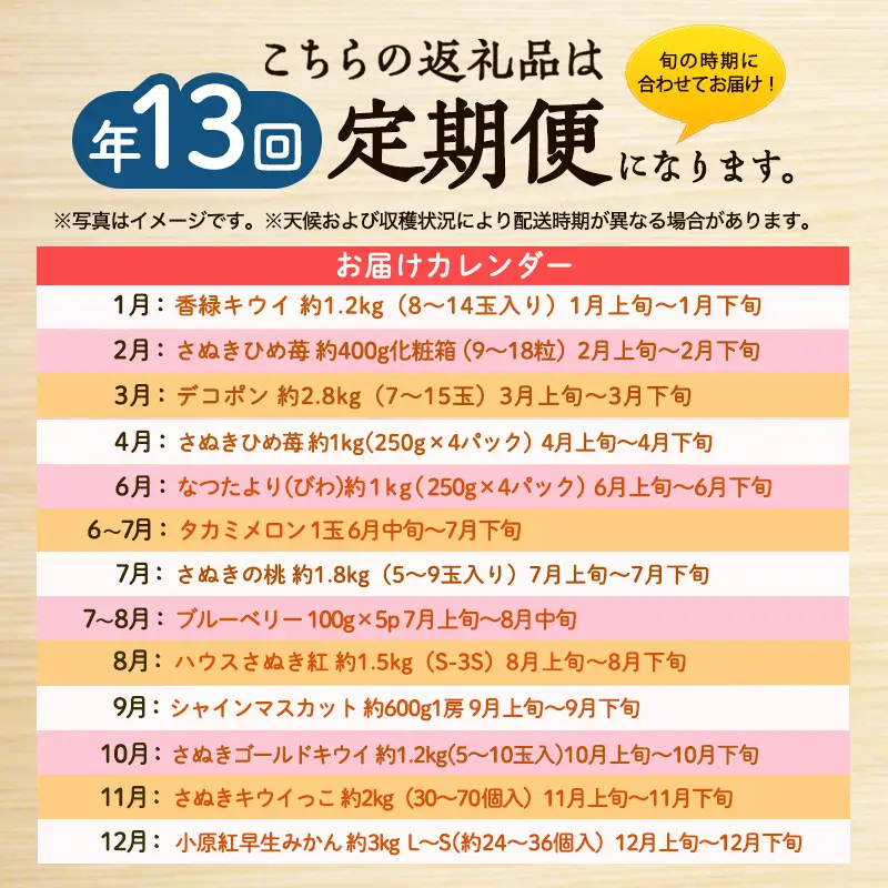 フルーツ 定期便 メロン ブルーベリー 桃 フルーツ【全13回 香川県産】 【46312861】