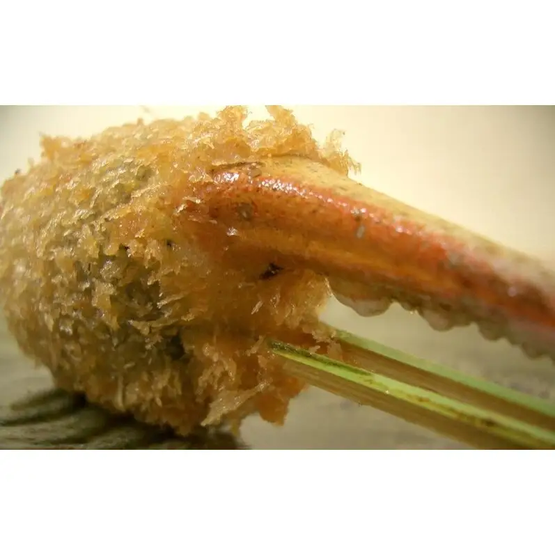 博多串揚げ 串匠 揚げ立て瞬間冷凍 季節の串揚げ 詰め合わせ 30本セット