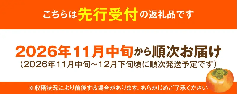 【先行受付】 富有柿 3kg こねり柿園自慢の富有柿 _KNR0508