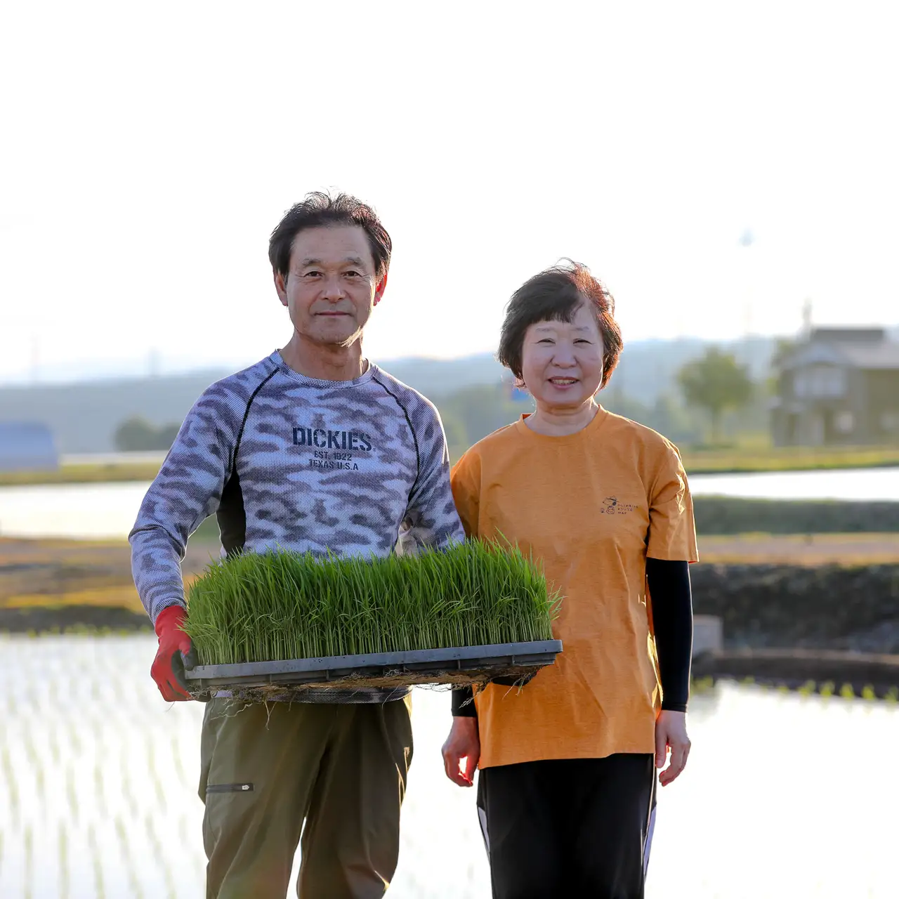 【令和8年産】【6ヶ月定期便】魚沼産コシヒカリ 九左衛門の米 5kg（5kg×1袋） |津南町 魚沼産 コシヒカリ