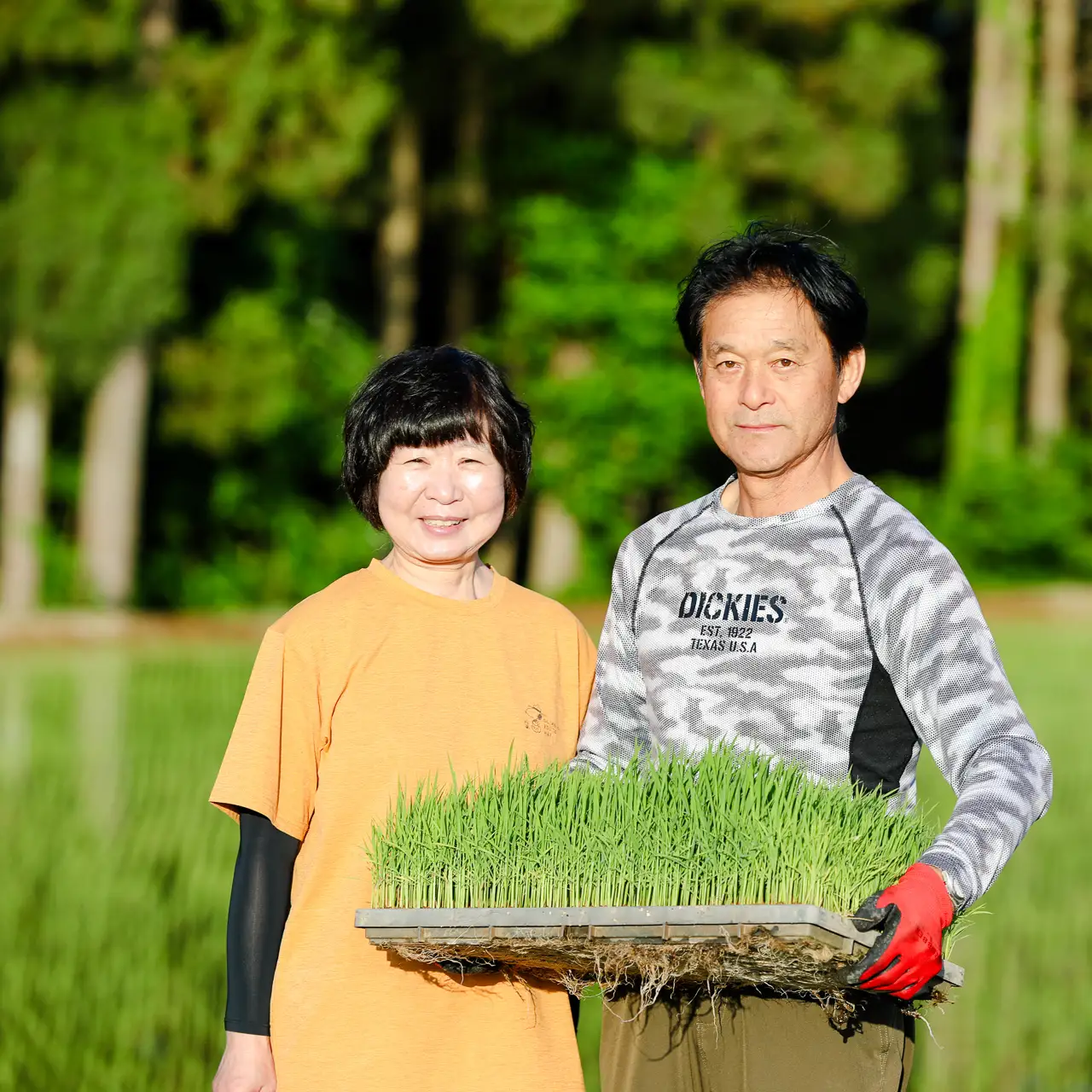 【令和8年産】【3ヶ月定期便】魚沼産コシヒカリ 九左衛門の米 10kg（5kg×2袋） |津南町 魚沼産 コシヒカリ