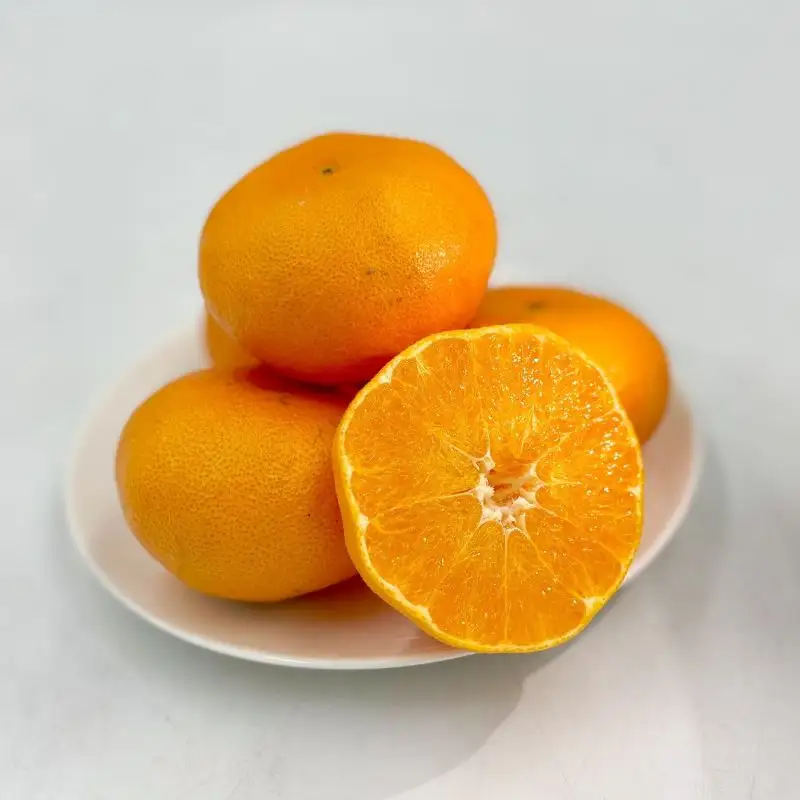 【全3回】愛媛の離島「中島」産柑橘食べきり定期便 1.5kg | 甘平 せとか カラマンダリン【FA125】
