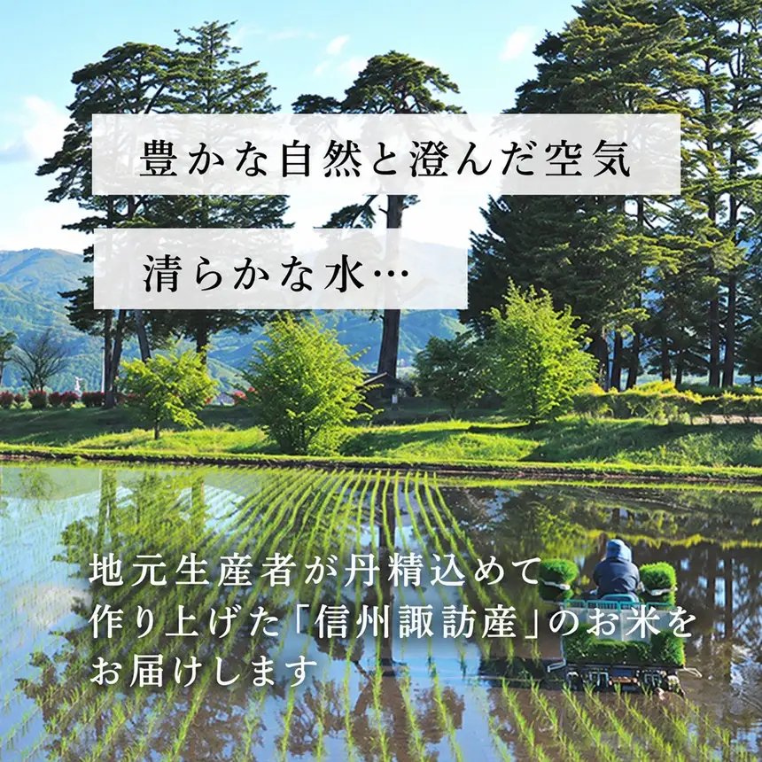 信州諏訪産　白米「つきあかり」（一等米使用） 10kg（5kg×2袋） | あぐりライフ信州諏訪