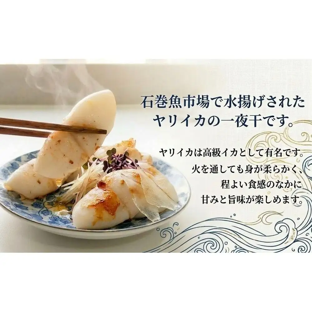 【 訳あり 】 石巻産 ふぞろい ヤリイカ 一夜干し 1.6kg （200g ×8パック） やりいか イカ いか 烏賊 小分け 魚介類 海鮮 おかず おつまみ わけあり 訳アリ 宮城県 宮城 石巻市 石巻