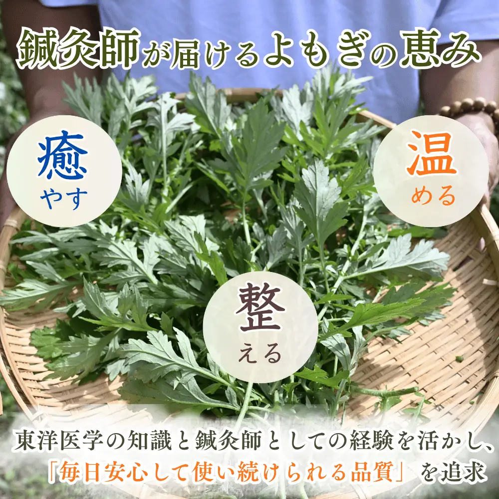 国産よもぎ茶 5g×10パック よもぎ100% 無添加 ティーパック 農薬不使用 岡山県産 ヨモギ 蓬 ノンカフェイン ハーブティー 健康茶 L-MO-A01A