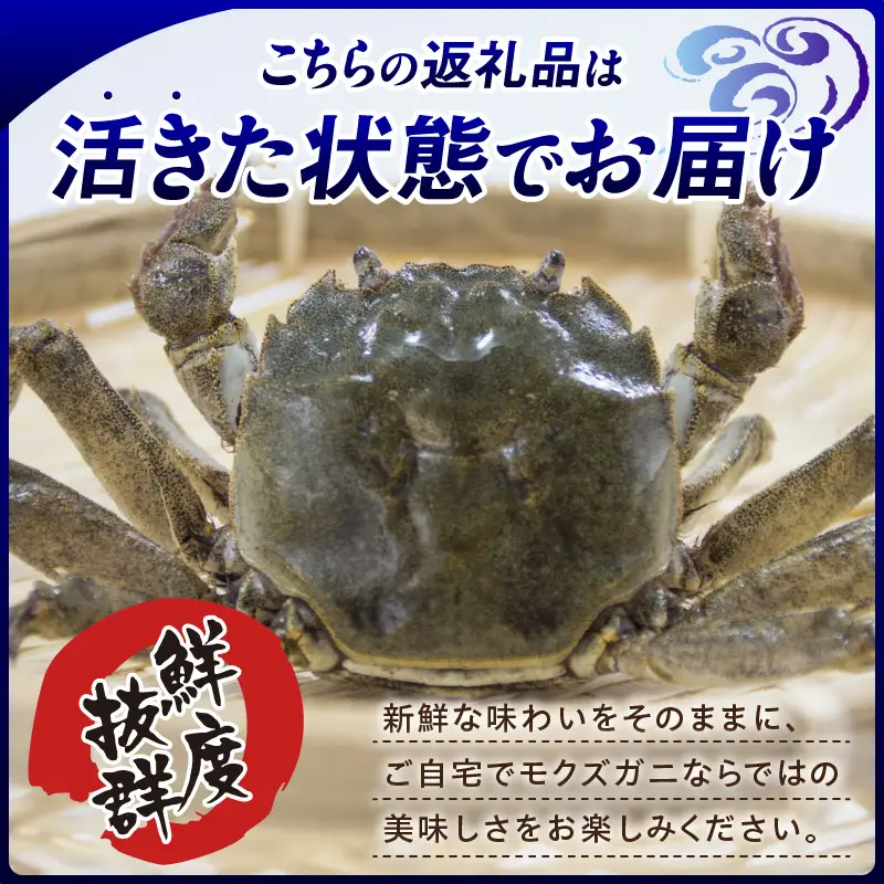 天然 活生モクズガニ 約1kg 冷蔵 74-32