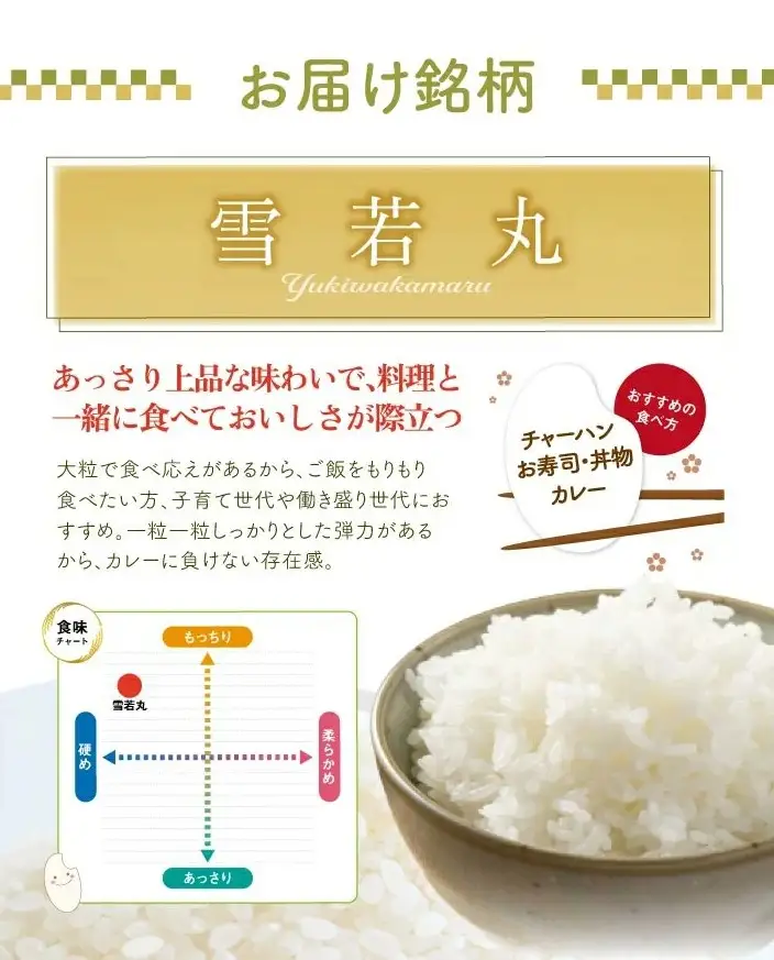 SB1055　1月中旬配送／令和8年産【無洗米】雪若丸　10kg(5kg×2袋) 農家直送 HO