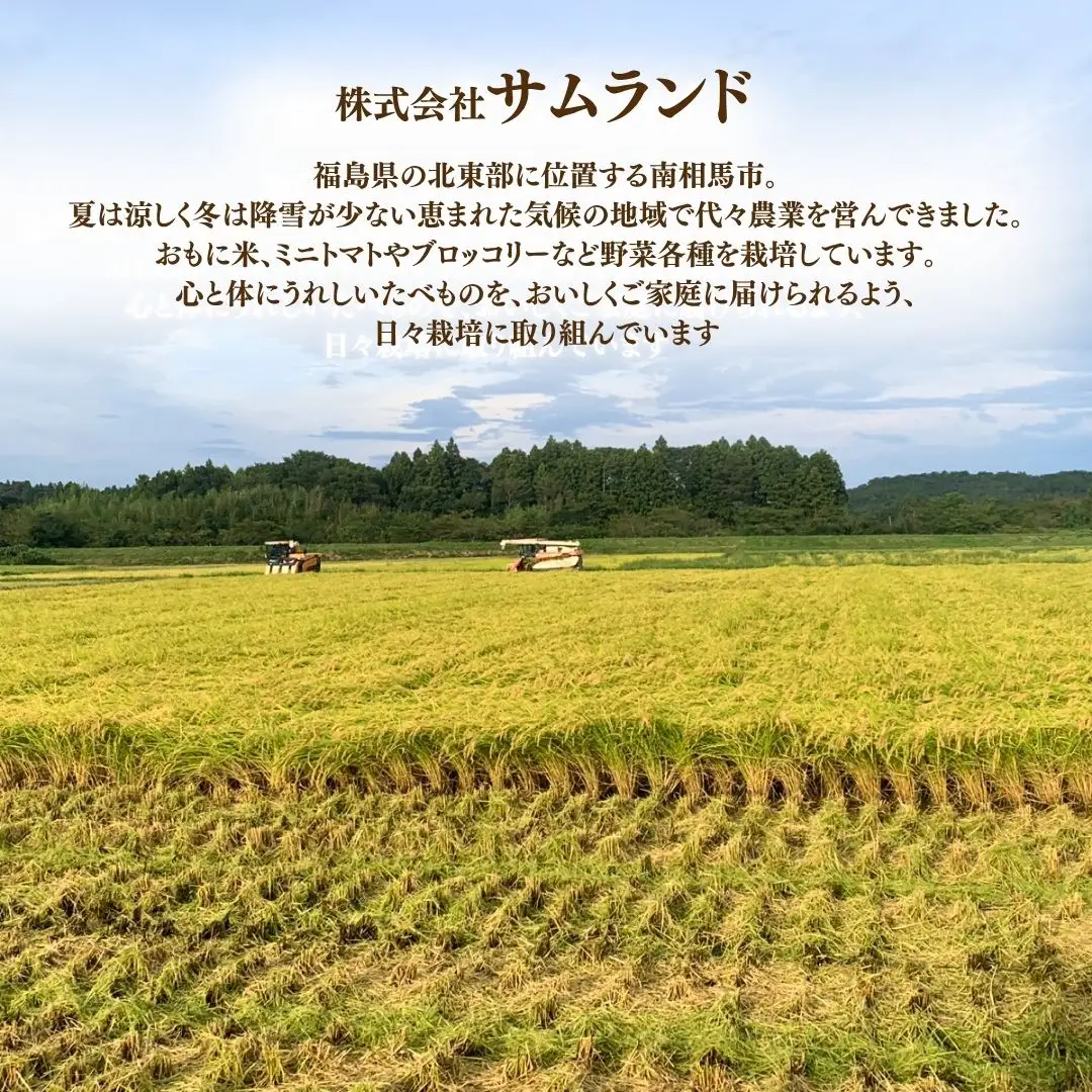定期便 ミルキークイーン 玄米15キロ (5kg×3回) 令和8年産 | 定期便 玄米 サムランド