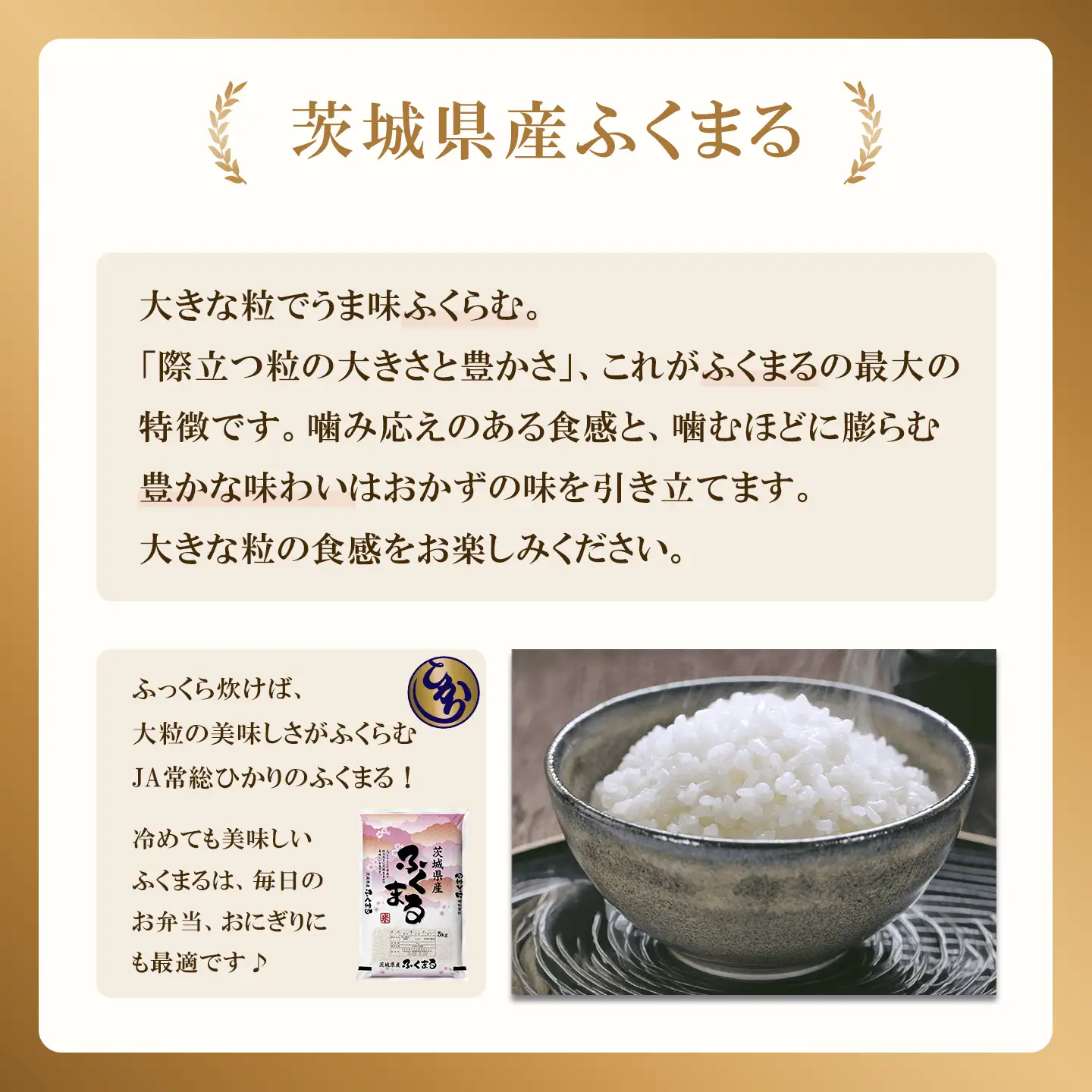 米 精米 R7年産 ふくまる 5kg 10月