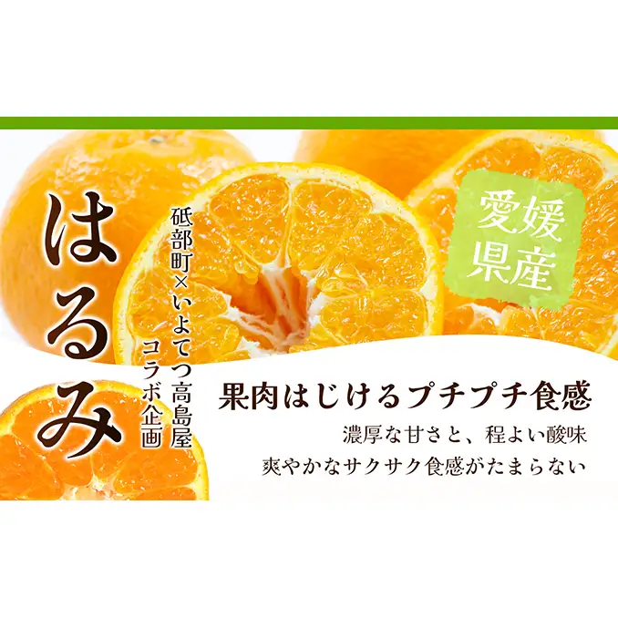 【数量限定 先行予約】愛媛県産 はるみ 約5kg[50R0824] 【高島屋選定品】秀M～２Lサイズ 1月下旬頃～順次発送＜ギフト 高級 甘い みかん フルーツ＞[No.53030335]