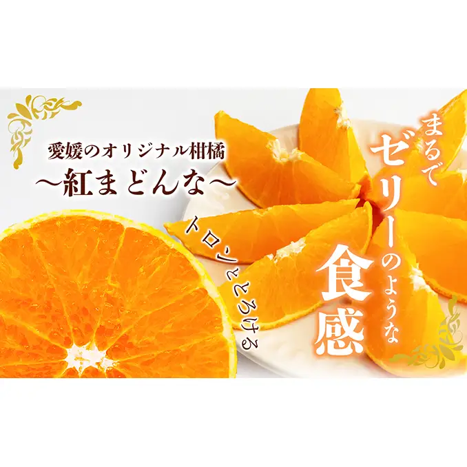 【数量限定 先行予約】愛媛県産 紅まどんな2.7kg[50R0986]【高島屋選定品】青秀 M～３Lサイズ（10～16玉）12月上旬頃～順次発送 ＜ギフト 正規品 甘い みかん フルーツ＞[No.53030337]