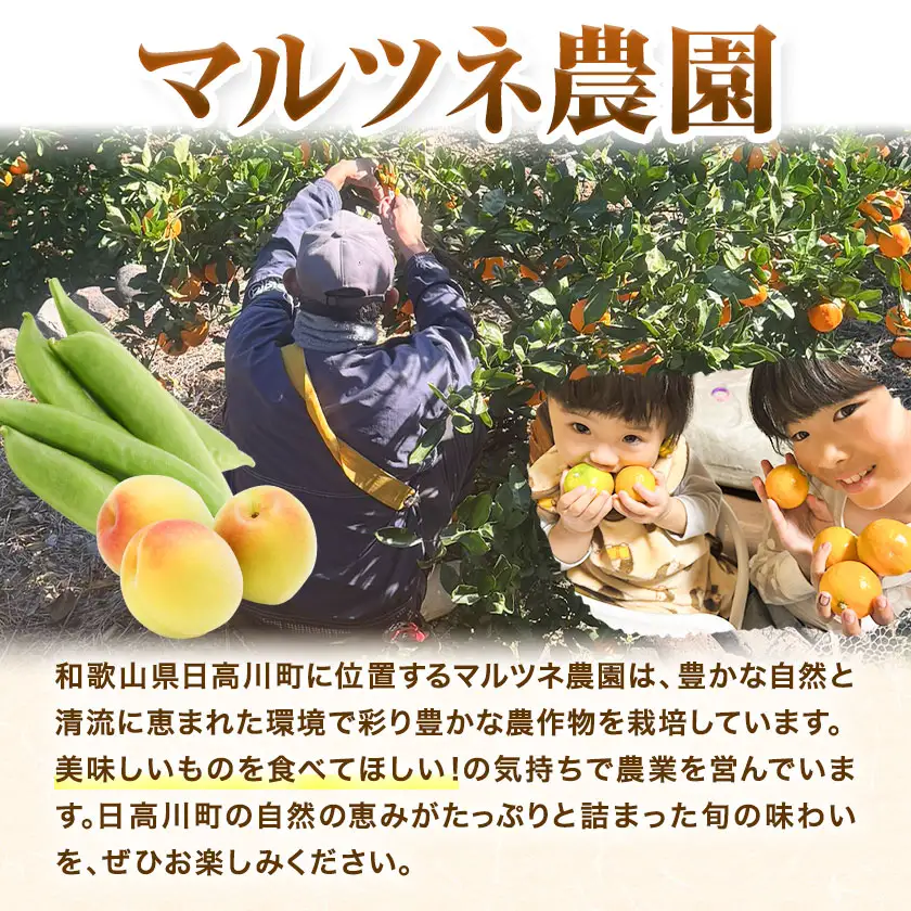 南高梅 約3kg マルツネ農園