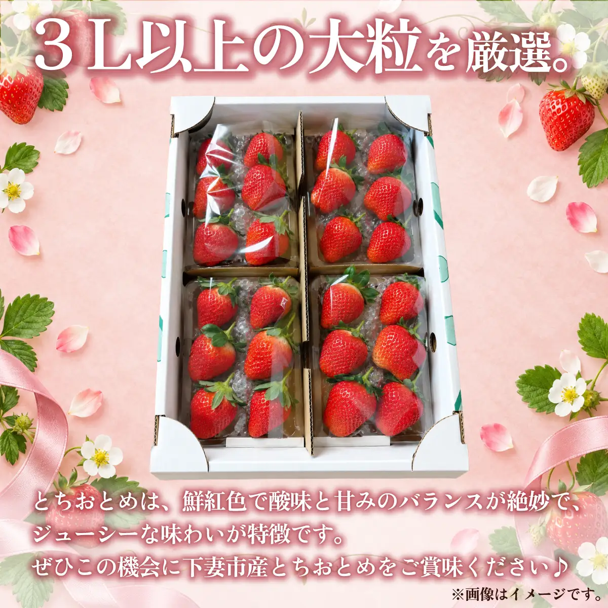 いちご とちおとめ 3L以上 約1kg いちご 下妻市産 本州のみ配送