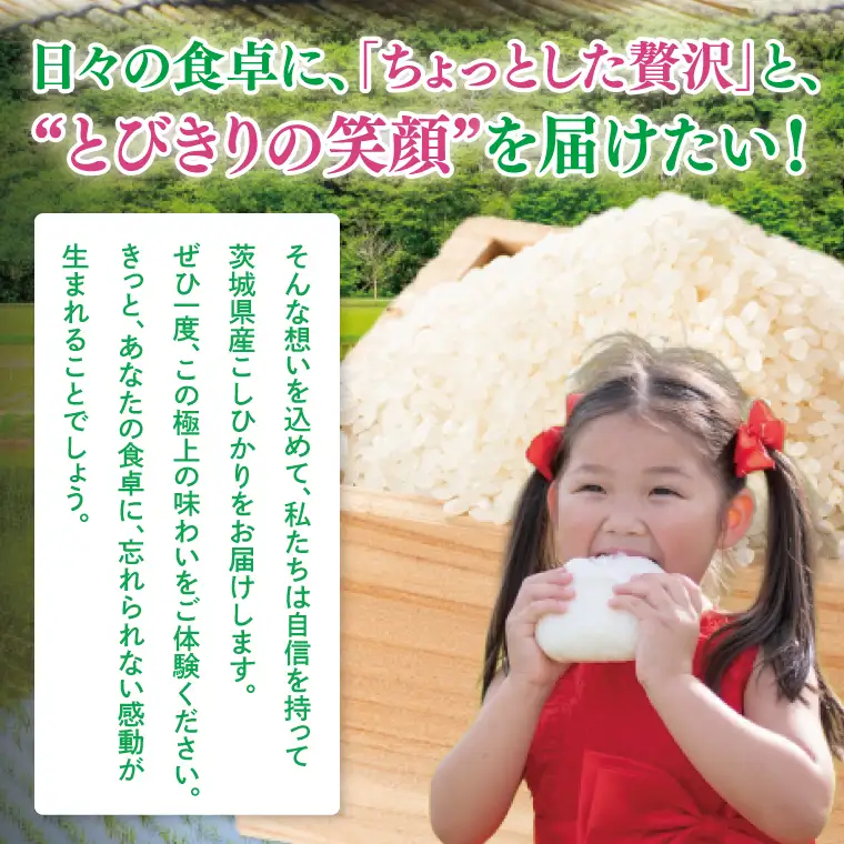 【10月より順次発送】【数量限定】 令和8年産 【3ヶ月定期便】美味追求 茨城県産こしひかり 30kg（5kg×6）×3回(NA-20)