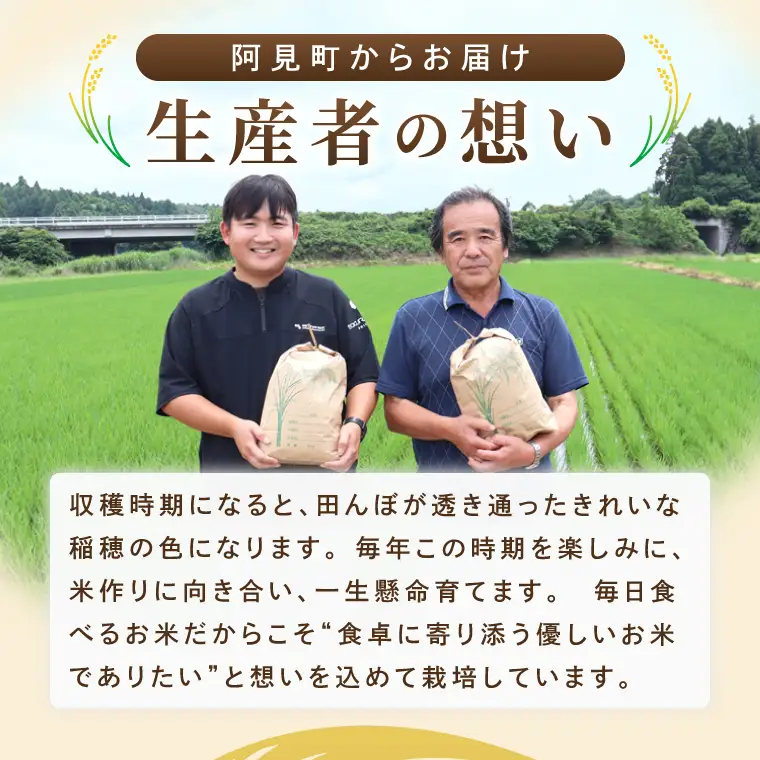 米 にじのきらめき 精米 10kg 令和8年産 茨城県産 お米 こめ コメ ごはん 白米 ニジノキラメキ 茨城県産米 単一米 単一原料米 安心 安全 送料無料 国産 人気 数量限定（85-R8i205_02）