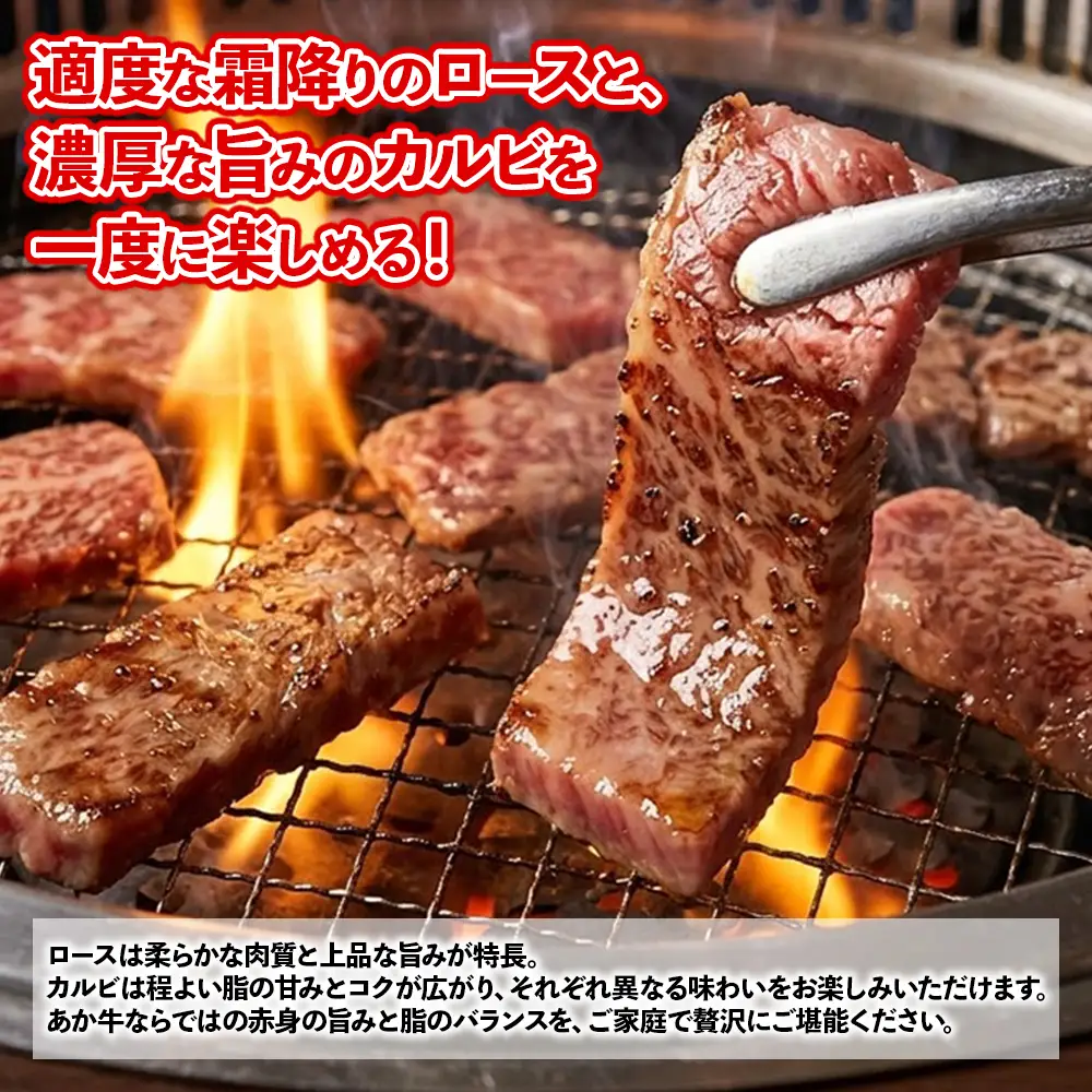 熊本和牛 あか牛 焼肉食べ比べ 500g (ロース250g + カルビ250g) + あか牛のたれ200mlセット