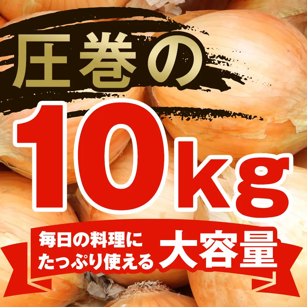 【先行予約】農家直送 低農薬 旭川産 玉ねぎＬサイズ10kg(2026年9月発送開始予定)_06552