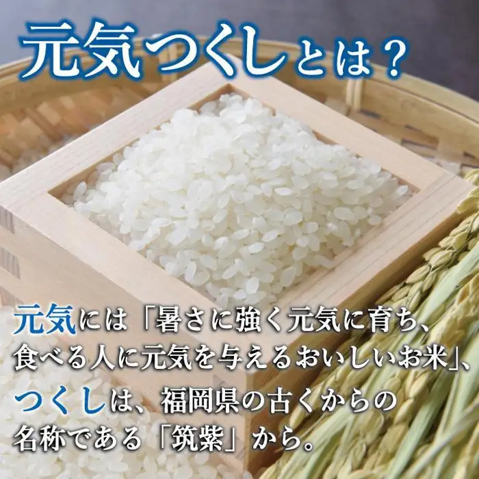＜全6回 定期便＞新米 令和8年産 元気つくし 5kg 米 福岡県