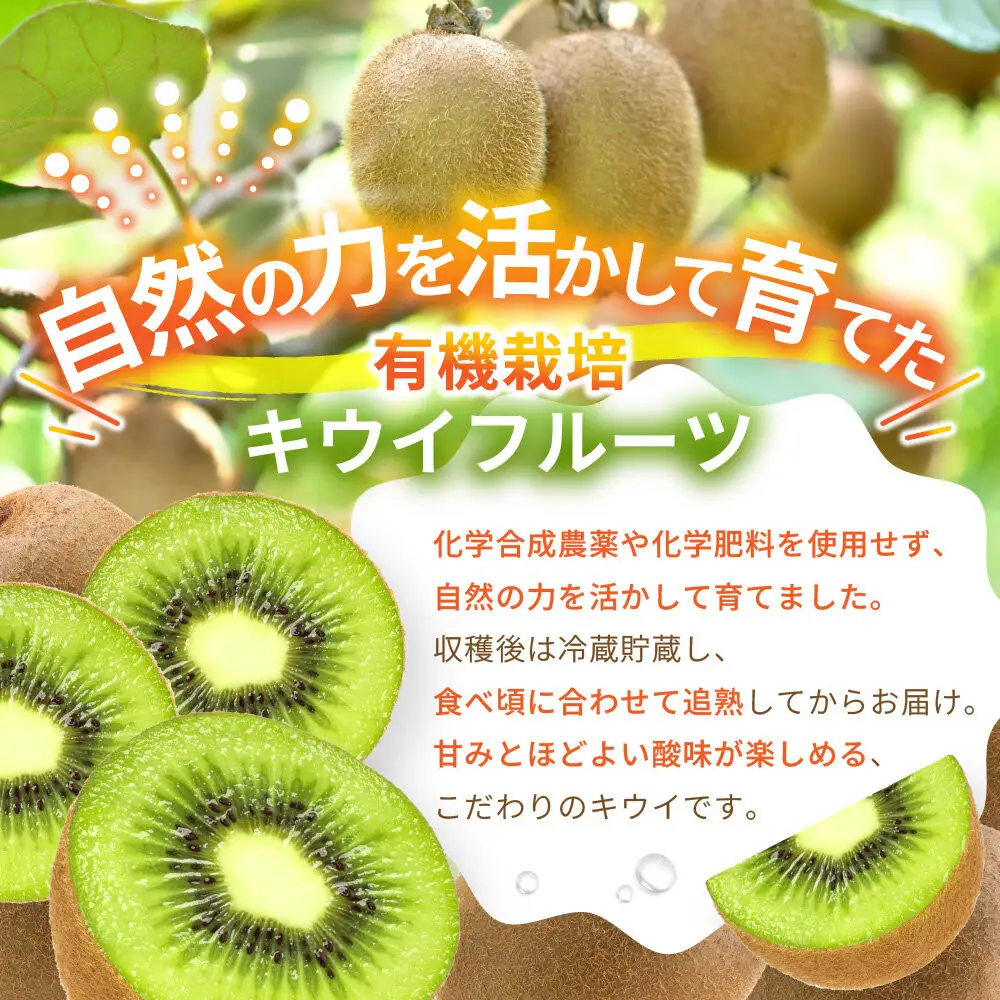 【先行予約】【有機栽培】追熟 キウイフルーツ 2.3kg【2026年12月上旬～2027年3月上旬発送】