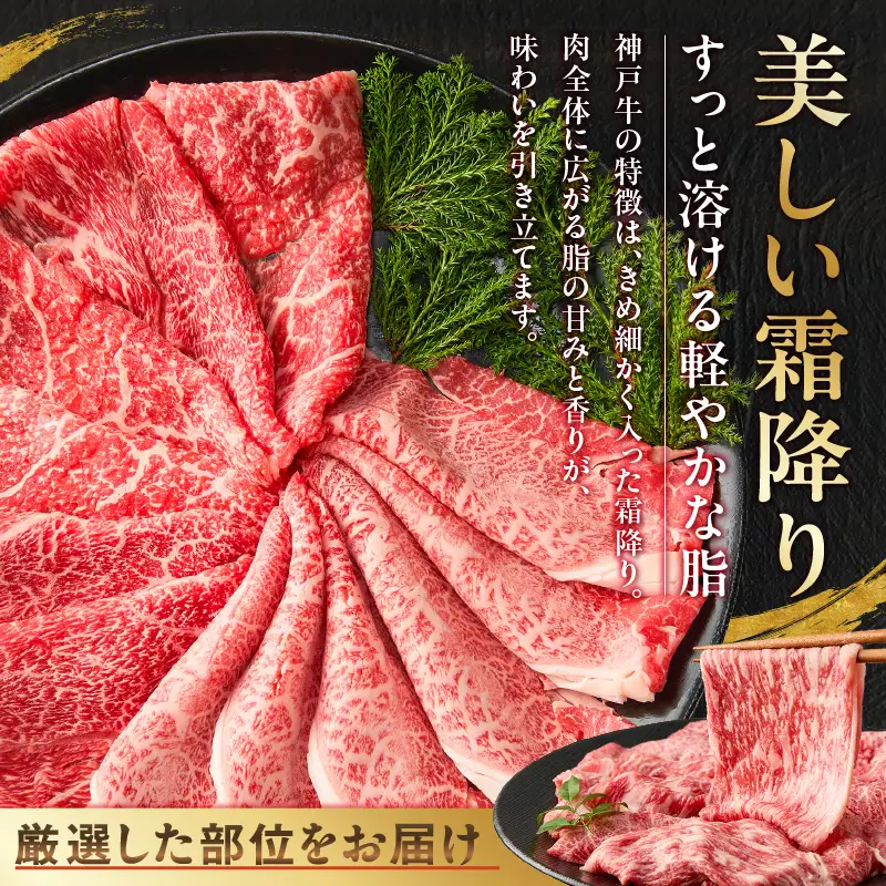 神戸牛切り落とし 部位お任せ500g 93-05-s