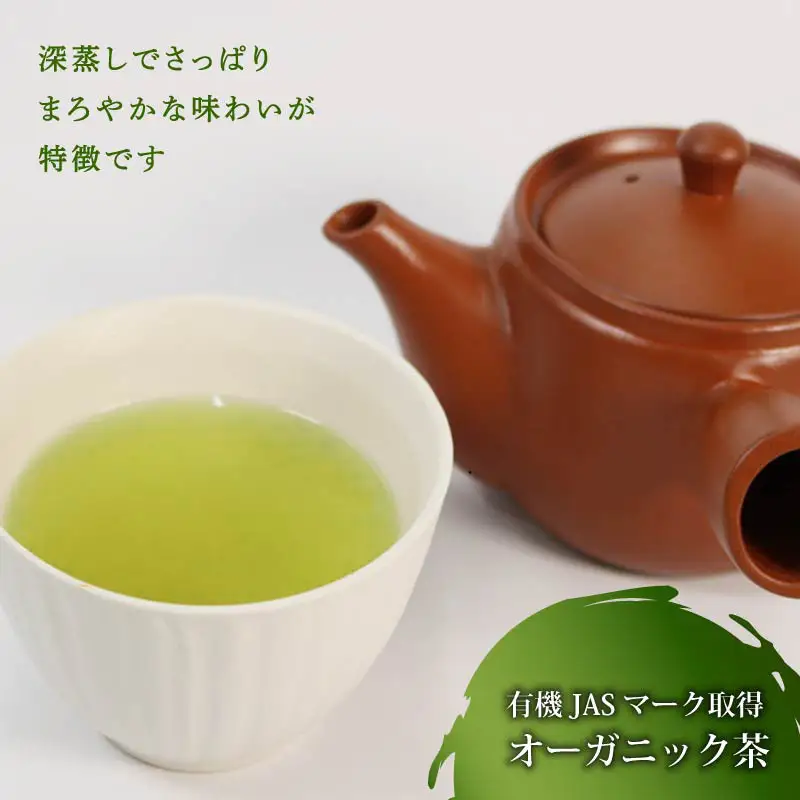 緑茶 茶葉 オーガニック 100g×3袋 300g セット 