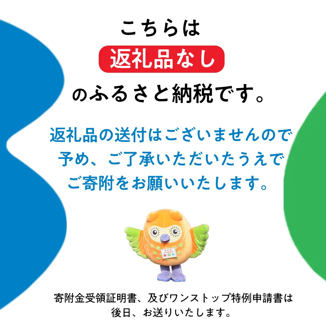 【 返礼品なし 】 茨城県 城里町 ふるさと応援寄附金 ( 10,000円 ) [ZZ003]