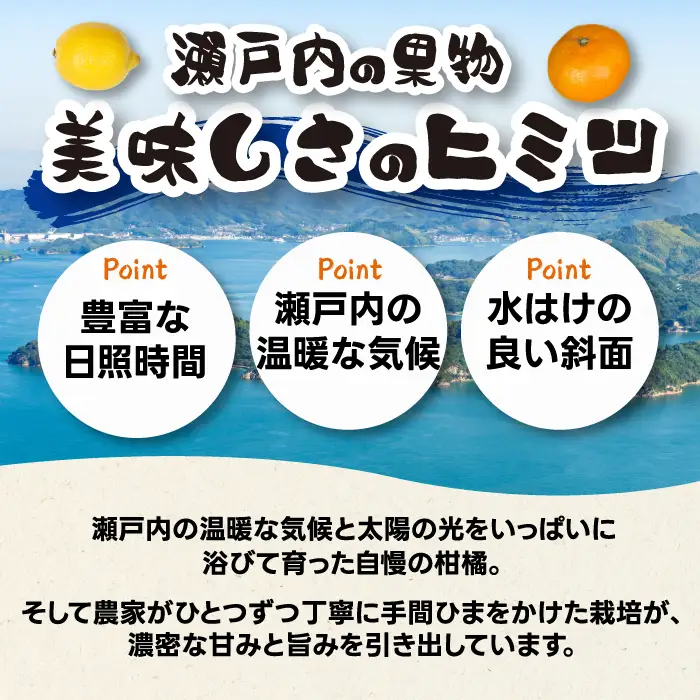 【先行受付】石地みかん2kg 2026年12月発送予定 柑橘 ミカン 果物 くだもの フルーツ 瀬戸内 251021