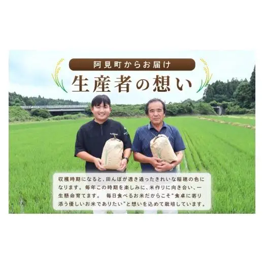 米 あきたこまち 精米 5kg 令和8年産 茨城県産 お米 こめ コメ ごはん 白米 アキタコマチ 茨城県産米 単一米 単一原料米 安心 安全 送料無料 国産 人気 数量限定 （85-R8i133_05）