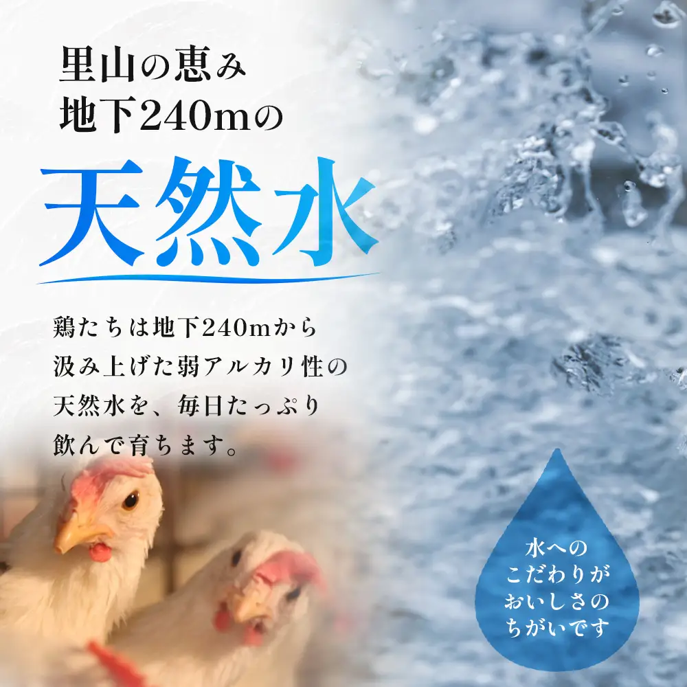 新鮮 たまご 80個 | 自然豊かな庄原で生まれた 新鮮たまご 訳アリ MSサイズ～2Lサイズ サイズ混合 サイズ指定不可