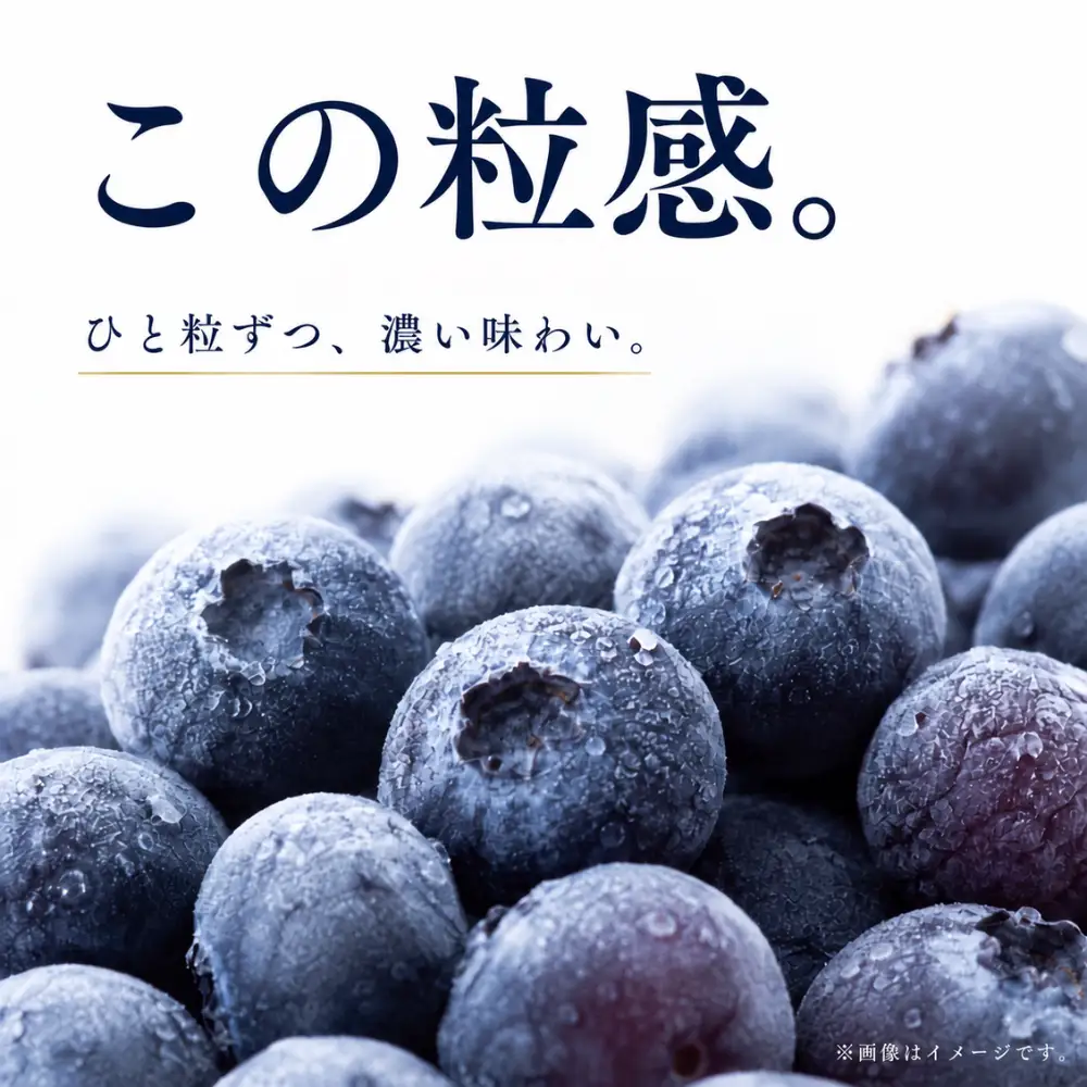 ブルーベリー 冷凍 訳あり 2kg フルーツ ベリー 果物 先行予約 2027年発送