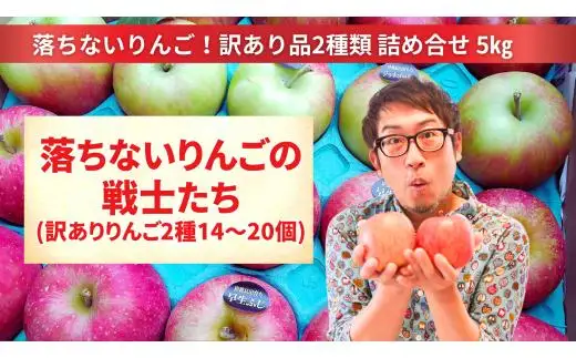 【訳あり品】 落ちないりんごの戦士たち 5kg りんご