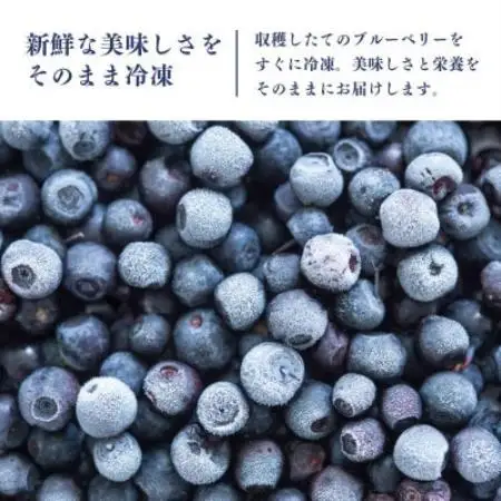 【毎月定期便】冷凍ブルーベリー1kg(500g×2パック)全12回【配送不可地域：離島】【4092940】