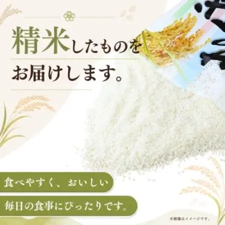 【毎月定期便】田伏米のコシヒカリ 精米10kg かすみがうら市全12回【4093197】