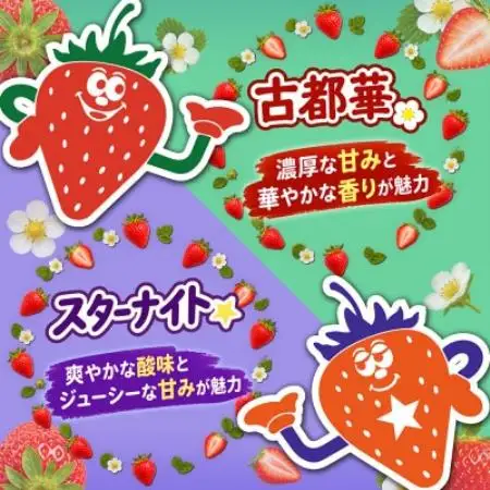 【古都華 (ことか)×スターナイト】食べ比べセット　2パック(8～15粒入り/1pc)【配送不可地域：離島・北海道・沖縄県・東北】【1783629】