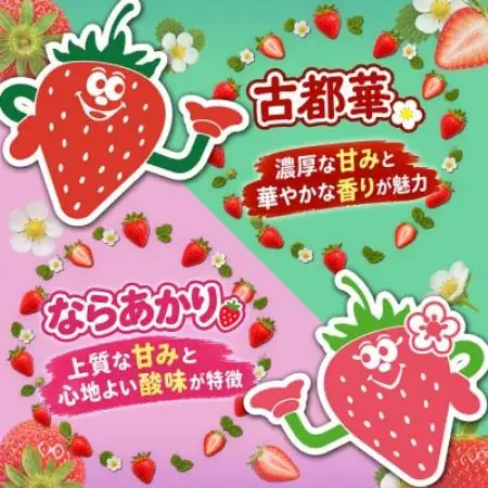 【古都華 × ならあかり】食べ比べセット　2パック(8～15粒入り/1pc)【配送不可地域：離島・北海道・沖縄県・東北】【1783654】
