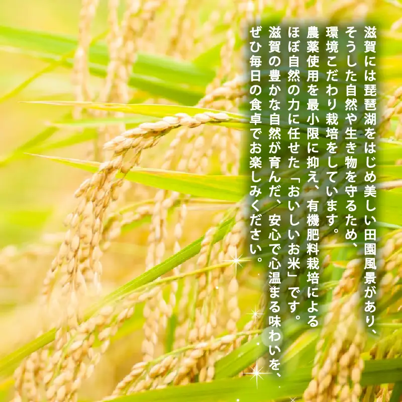 【令和8年産 新米】きらみずき 5kg 白米 環境こだわり米 お米 