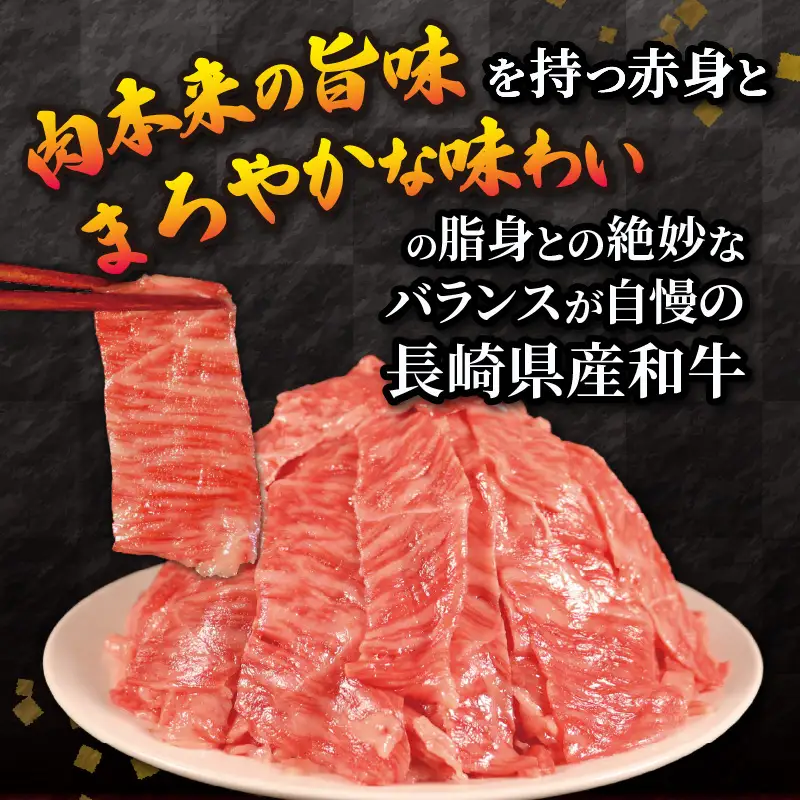 訳あり 長崎県産 和牛 切り落とし (500g) 訳あり 牛肉 黒毛和牛 限定品