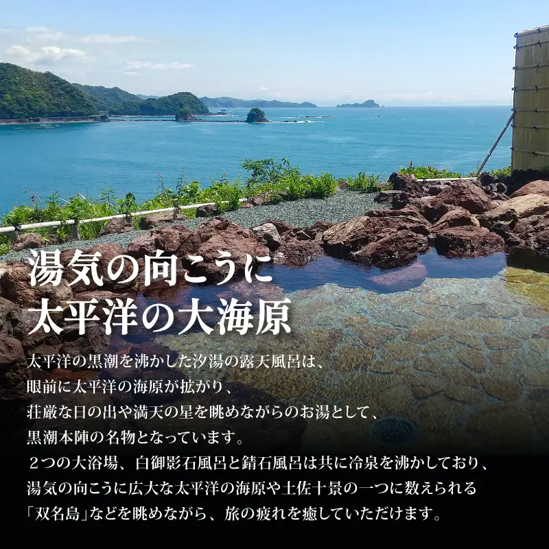 【宿泊券】 ペア 宿泊券 1泊2食付 和室 黒潮本陣 高知