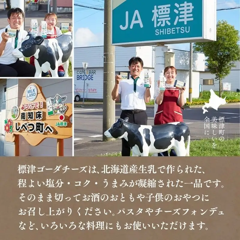 ゴーダチーズ 250g×2個 北海道産チーズ 【AE】