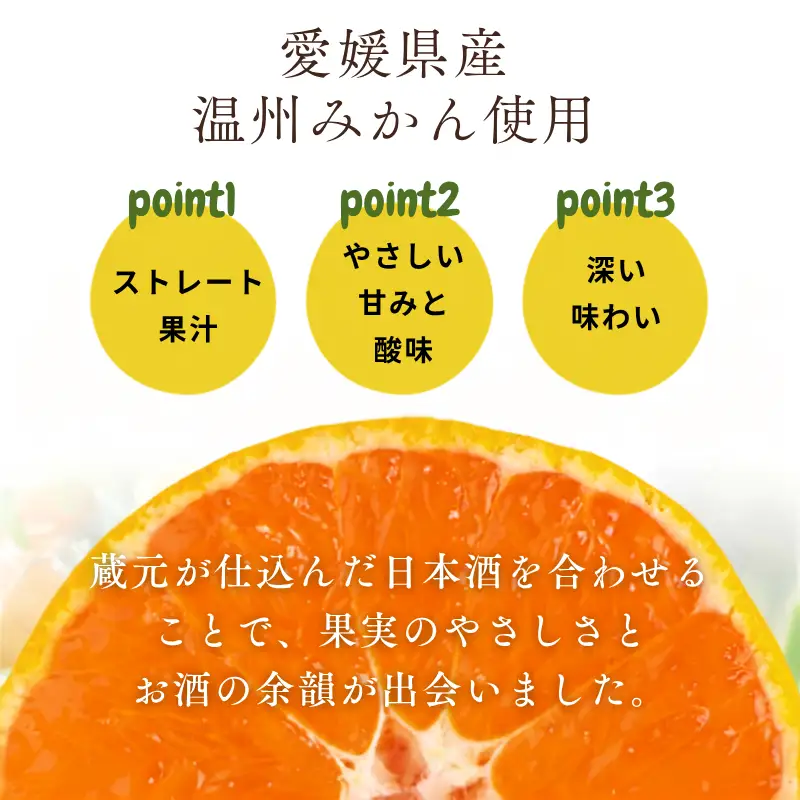リキュール みかん 720ml × 2本 リキュール
