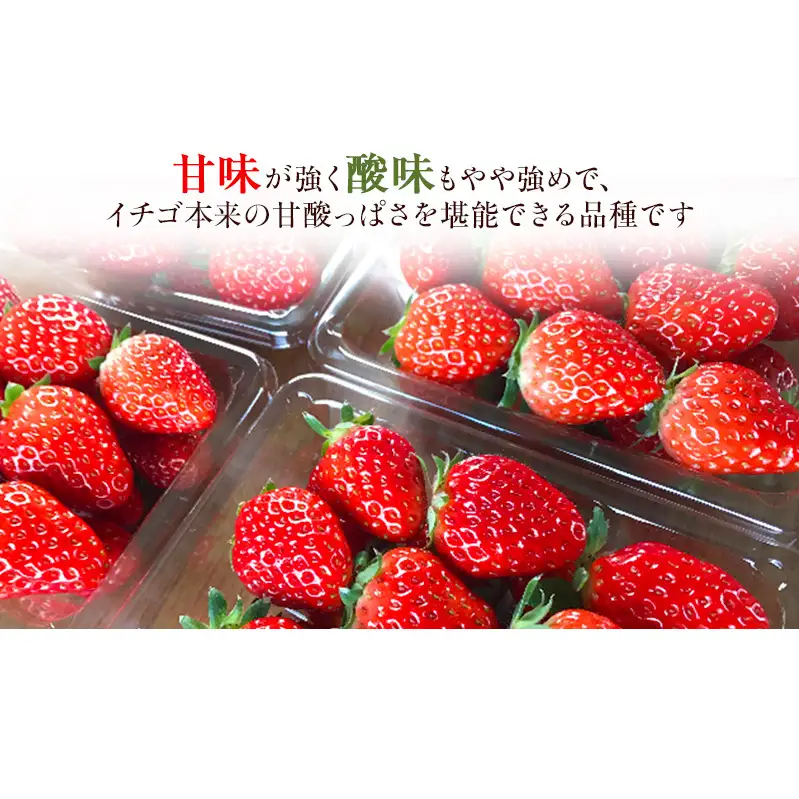 川瀬農園の紅ほっぺ　2パック