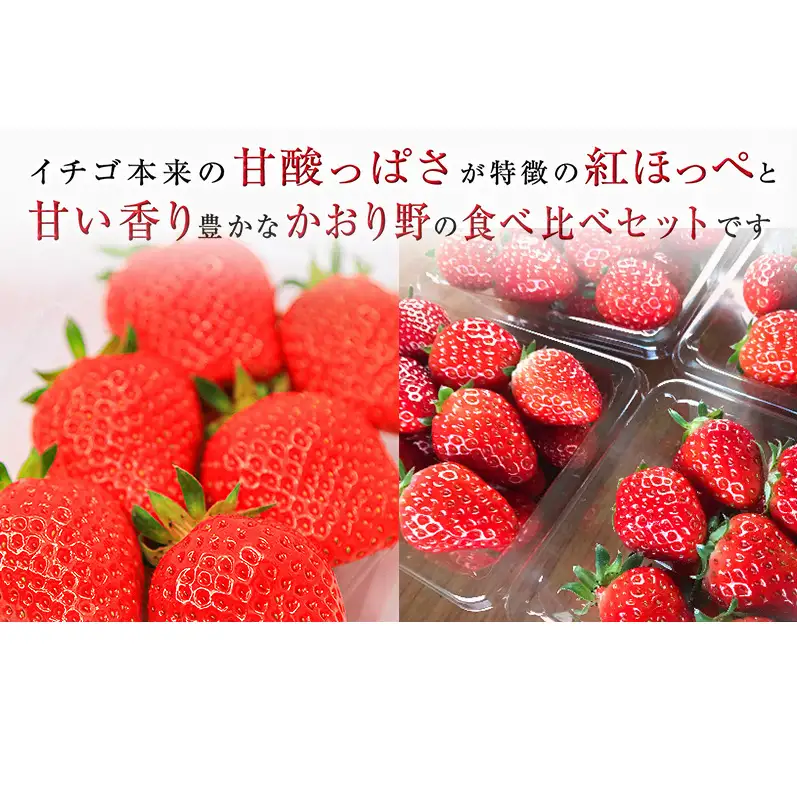 川瀬農園のいちご食べ比べセット　４パック