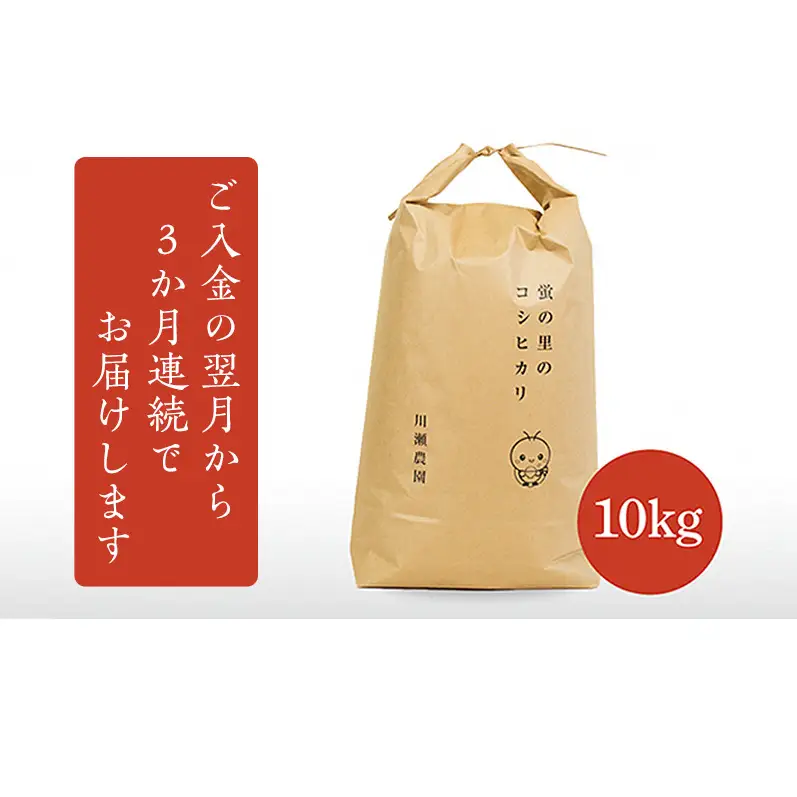 【令和8年産新米】【定期便】蛍の里のコシヒカリ　10kg×3か月連続お届け