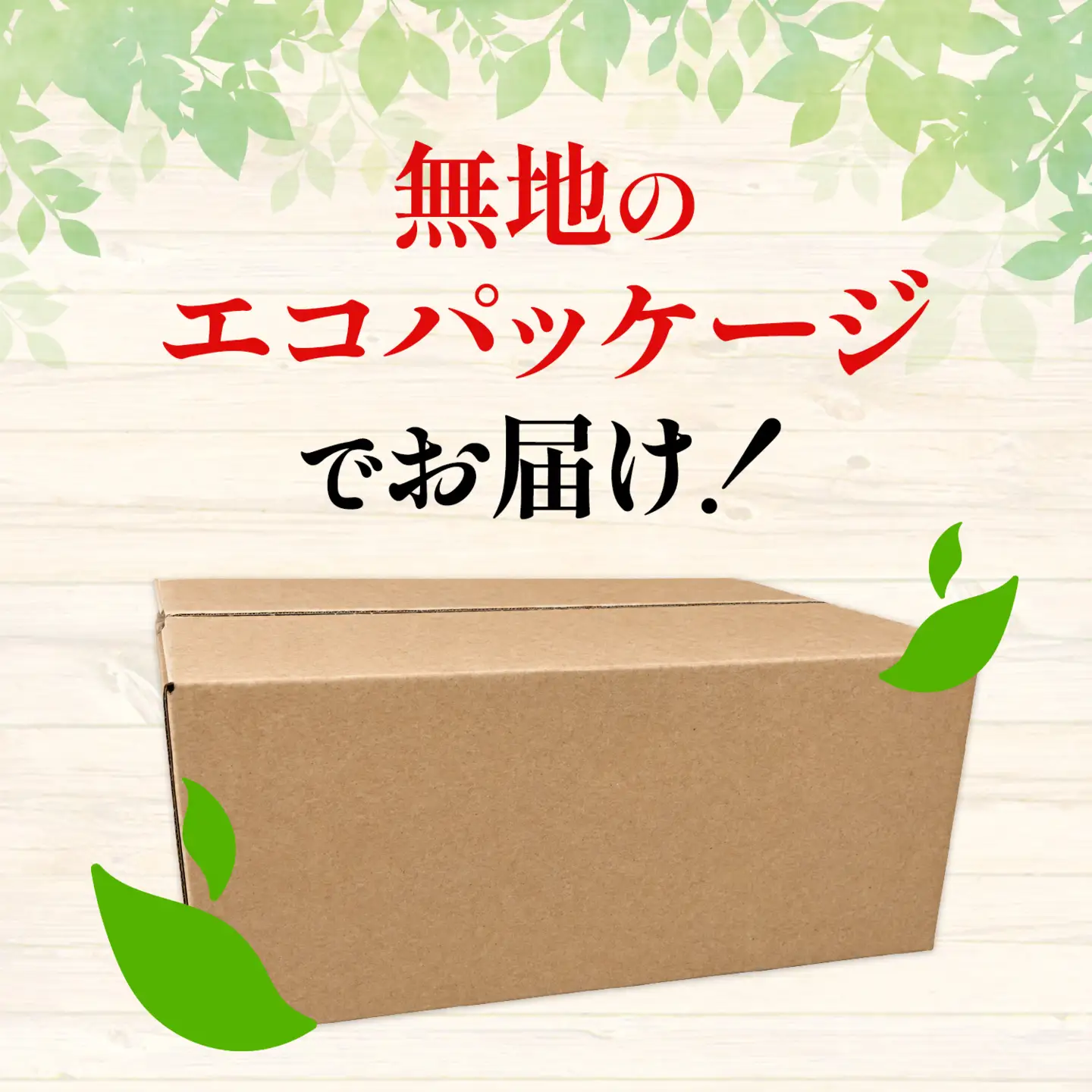 訳あり みかん 小玉 ひとくちもぎたてみかん 約 10kg