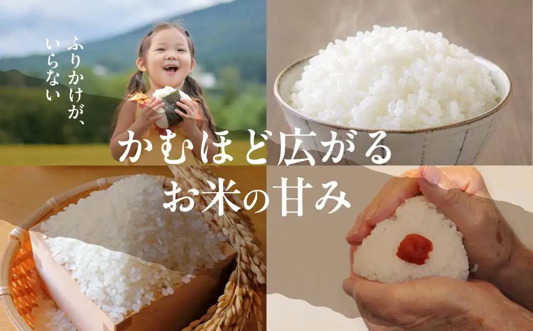 【令和8年度産】位山源流米 コシヒカリ5kg | 新米 米 ごはん 農家 コシヒカリ おいしい 飛騨高山 ファームやまじん TD001