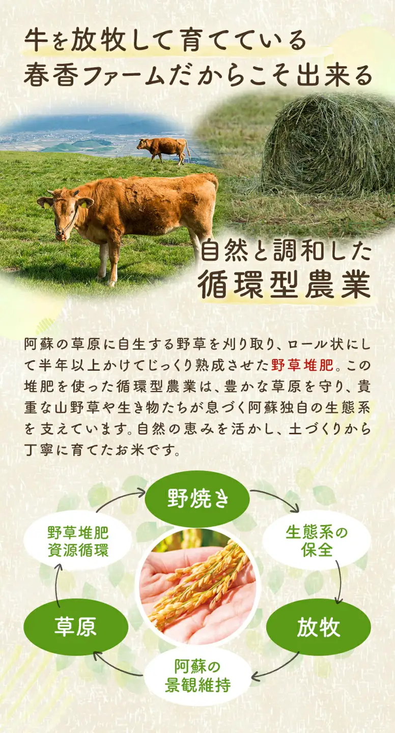 令和8年産 玄米 おとみや日和 阿蘇の名水と野草堆肥のめぐみ 30kg 春香ファーム