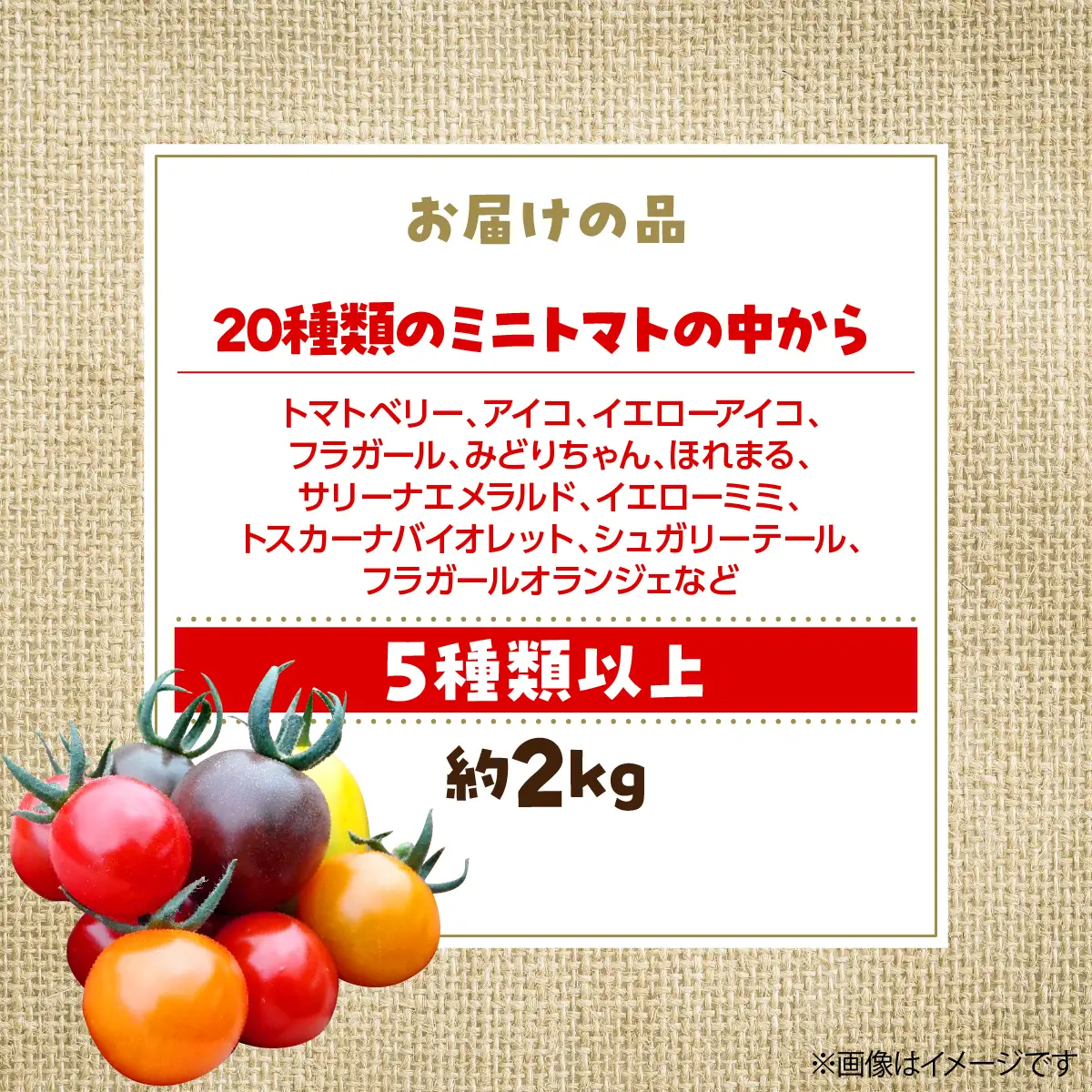 【2027年7月より発送】カラフルミニトマト約2kg(5種以上) 大作農園 北海道壮瞥町 SBTR012