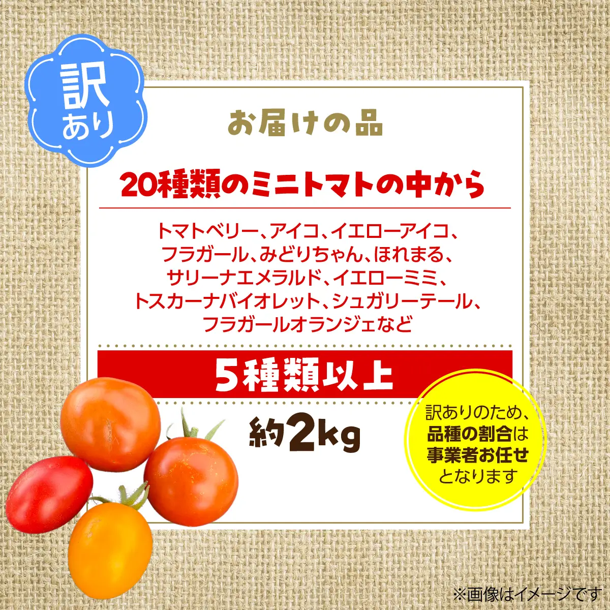 【2027年7月より発送】【訳あり】カラフルミニトマト約2kg(5種以上) 大作農園 北海道壮瞥町 SBTR013