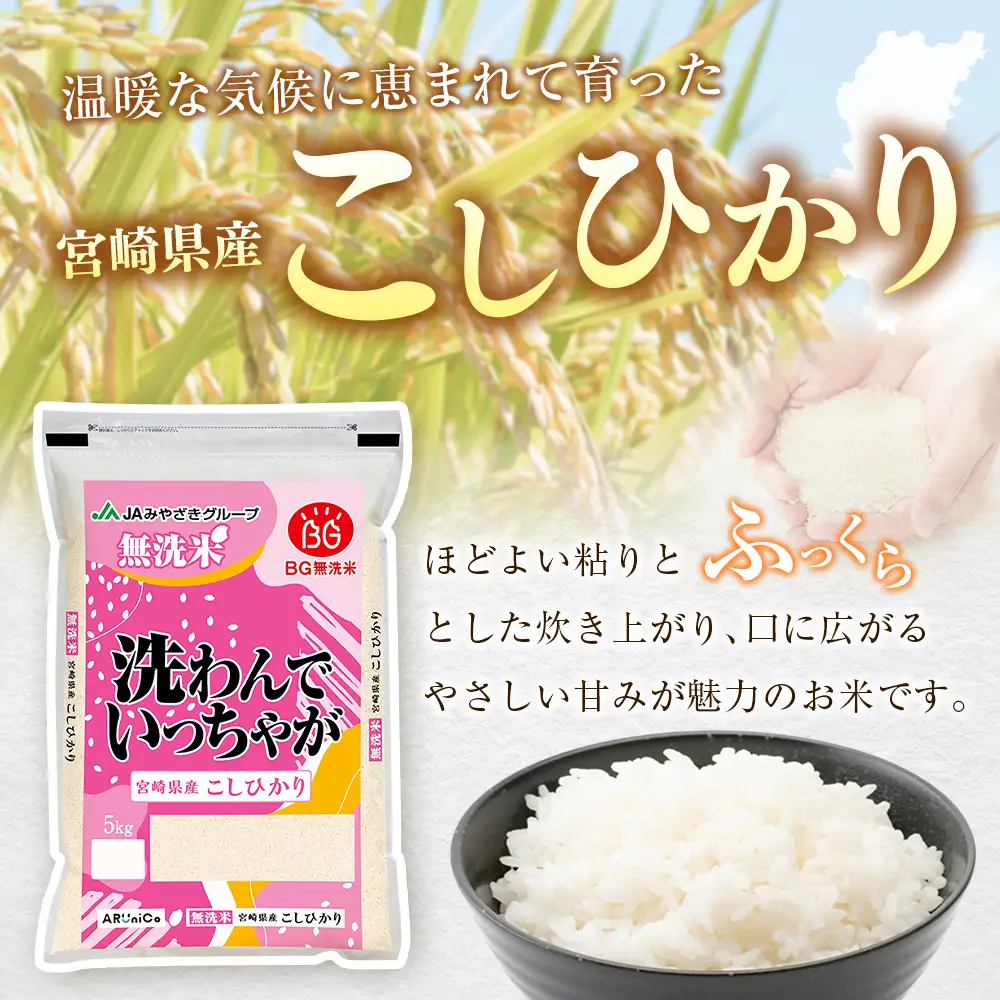 令和8年産 無洗米 こしひかり 10kg 宮崎県産 米 コメ 精米 BG無洗米 HACCP コシヒカリ