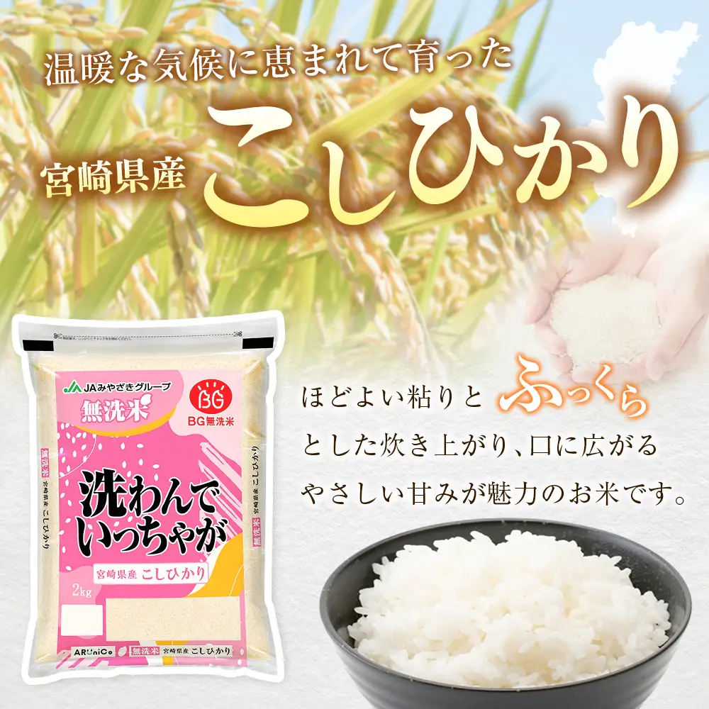 令和8年産 無洗米 こしひかり 2kg 宮崎県産 米 コメ 精米 BG無洗米 HACCP コシヒカリ